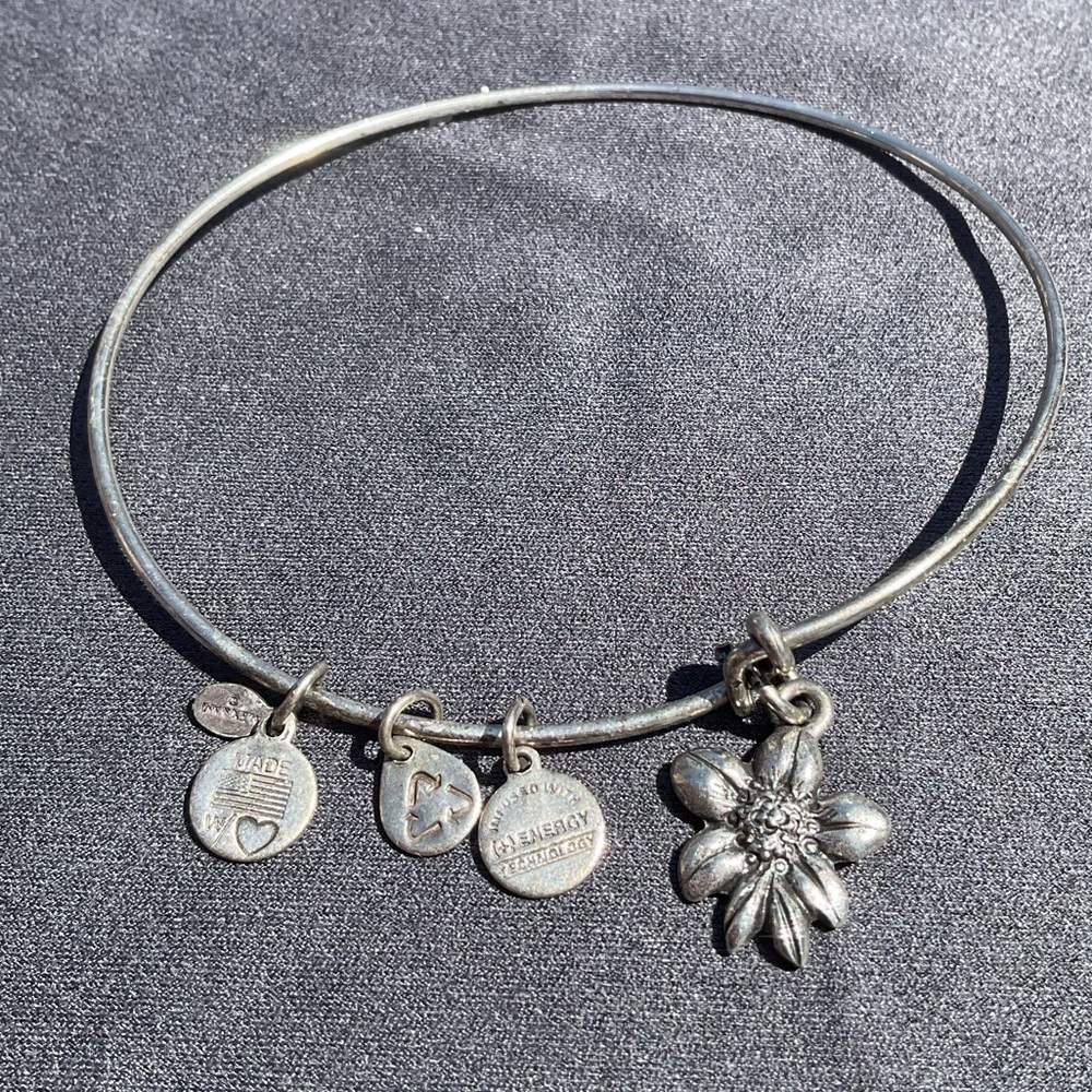 Alex and Ani Retired Apple Blossom Charm Silver Stackable Expandable Bangle - Picture 2 of 4